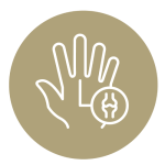 Pols / hand